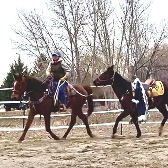 Meet your Posher, Brittany - Picture 16 of 16